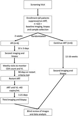 Imaging and biopsy of HIV-infected individuals undergoing analytic treatment interruption